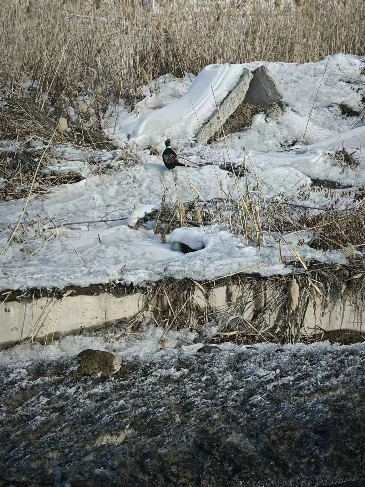 97¹ú¼Ê-ÖÁ×ðÆ·ÅÆÓÎÏ·¹Ù·½ÍøÕ¾