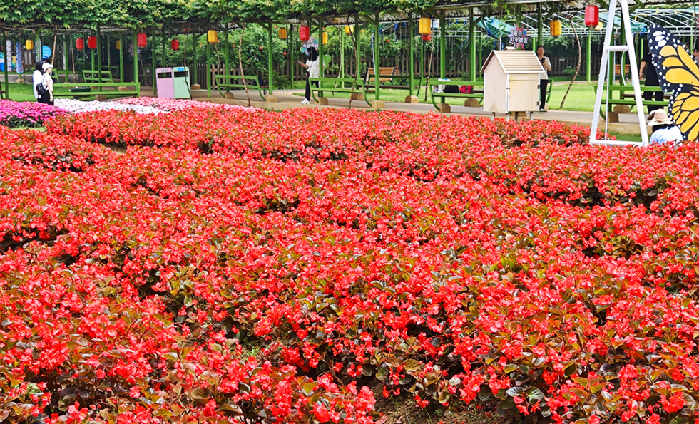 97¹ú¼Ê-ÖÁ×ðÆ·ÅÆÓÎÏ·¹Ù·½ÍøÕ¾